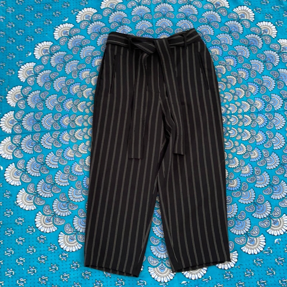 Aritzia Wilfred Tie Front Pant